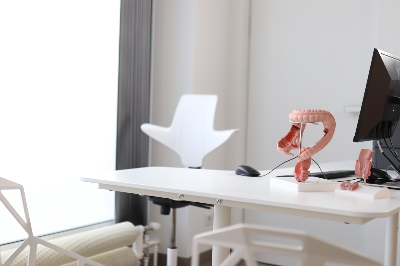 Anatomisches Modell am Arbeitsplatz in der Ordination